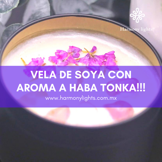 Modo Zen: Nuestra vela con aroma a Haba Tonka