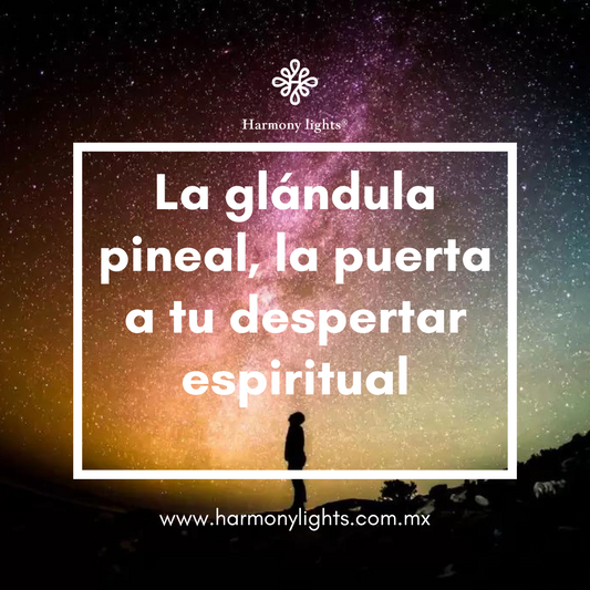 Activa tu glándula pineal